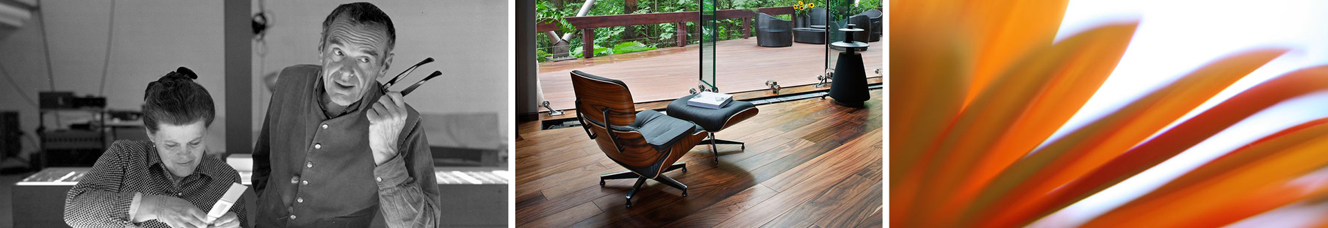 米兰体育app-米兰（中国） 设计师